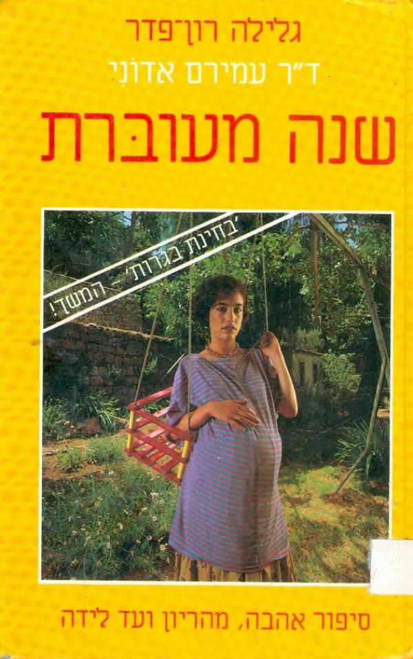 שנה מעוברת סיפור אהבה, מההריון ועד לידה