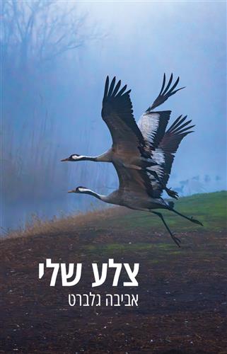 צלע שלי