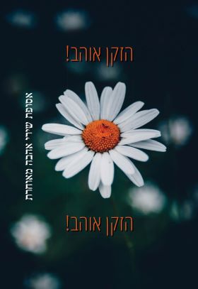 הזקן אוהב