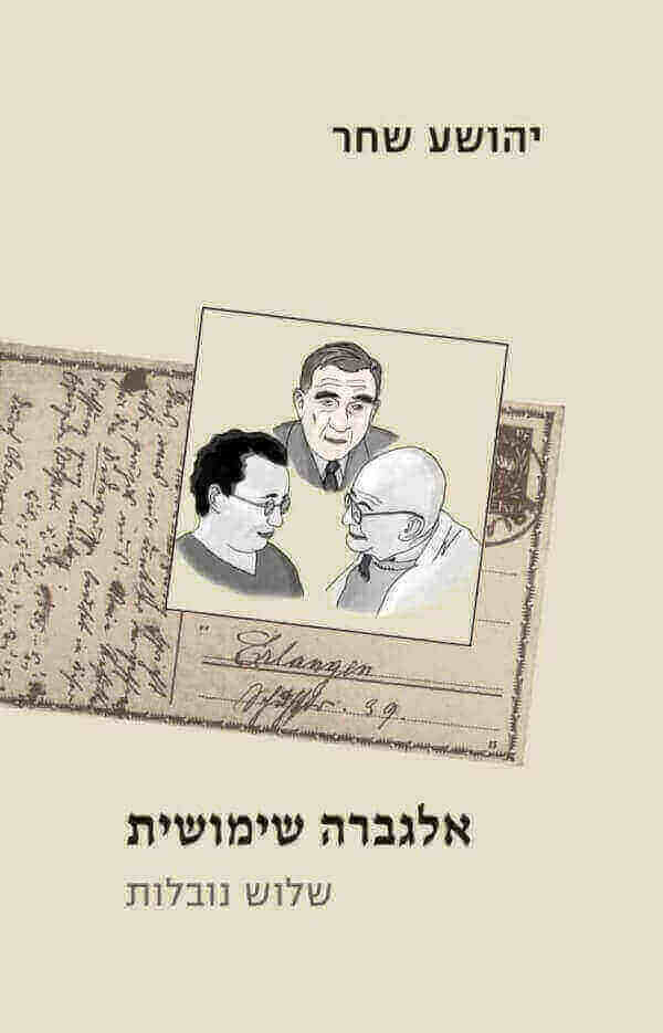 אלגברה שימושית