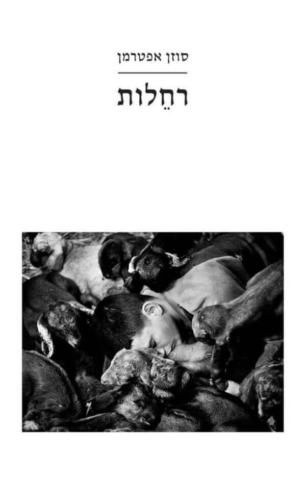רחלות