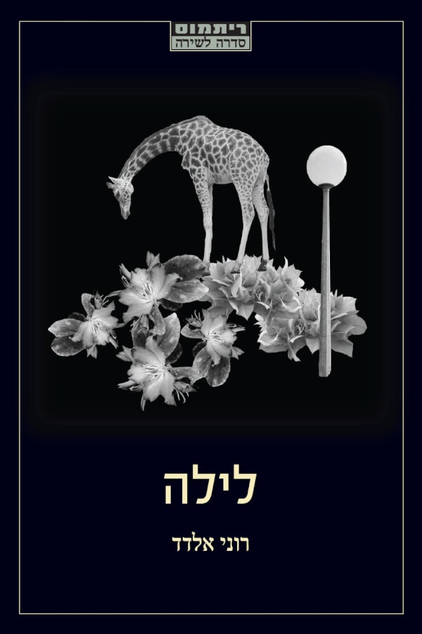 לילה