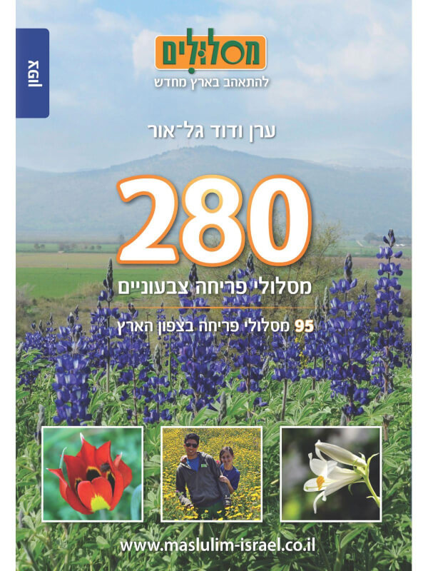280 מסלולי פריחה צבעוניים-כרך מרכז