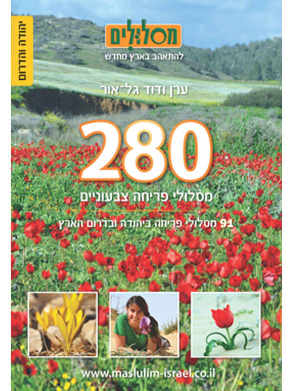 280 מסלולי פריחה צבעוניים-יהודה והדרום