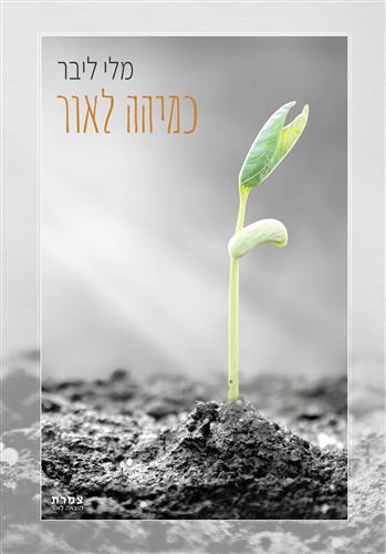 כמיהה לאור