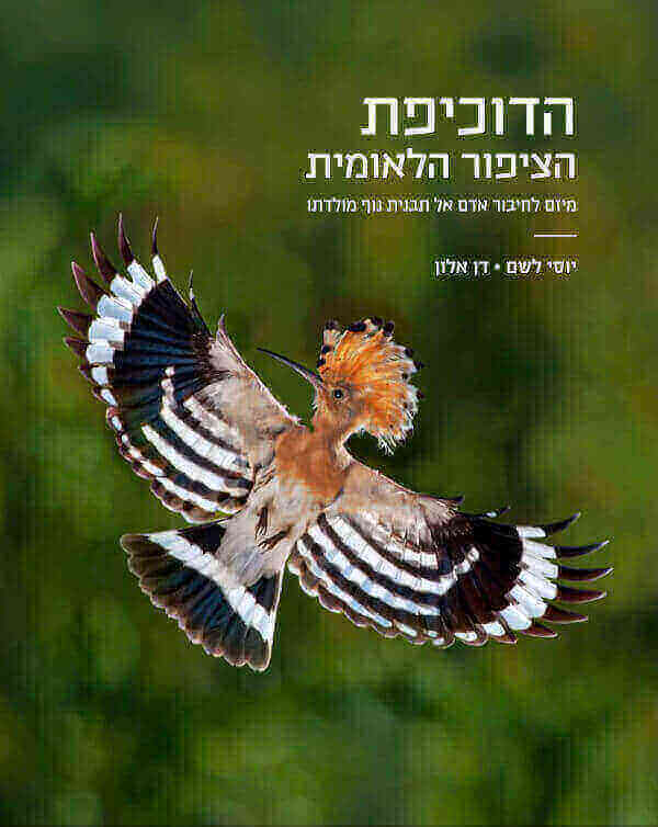הדוכיפת הציפור הלאומית