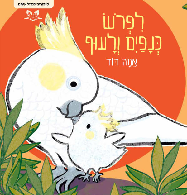 לפרוש כנפיים ולעוף