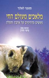 מלאכים מעולם הח