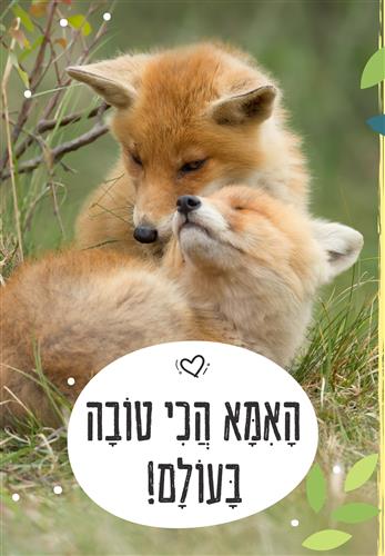 האמא הכי טובה בעולם