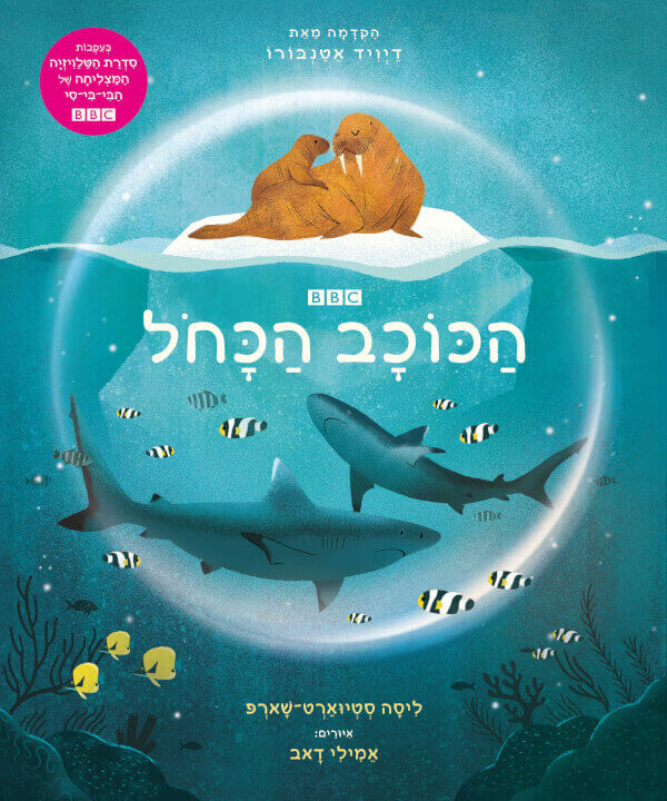 הכוכב הכחול