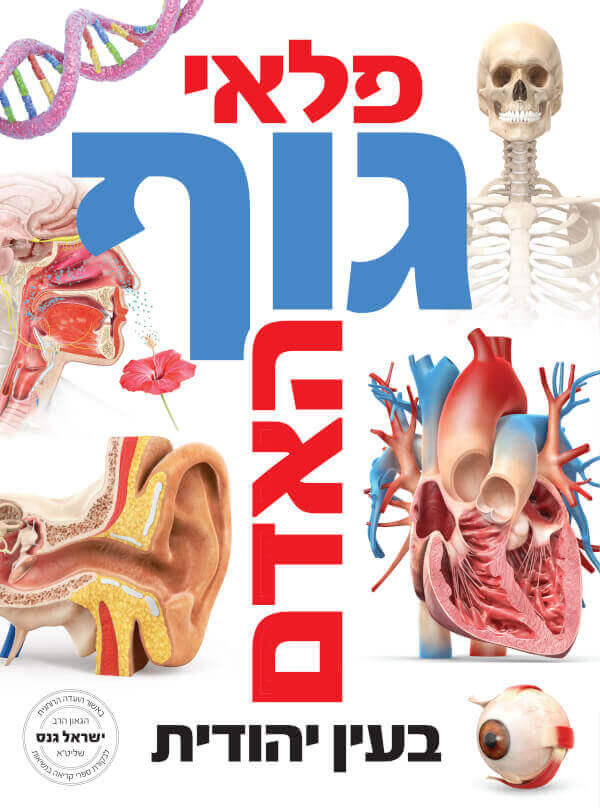 פלאי גוף האדם בעין יהודית
