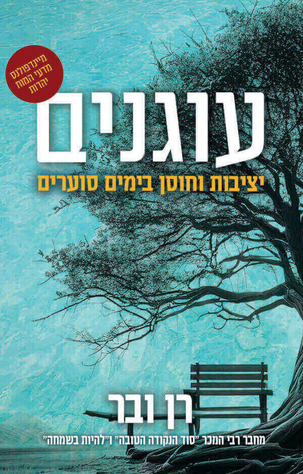 עוגנים יציבות וחוסן בימים סוערים