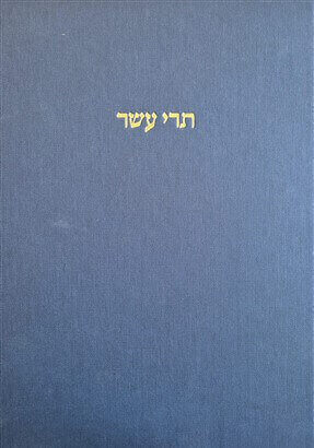 תרי עשר