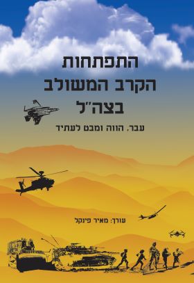 התפתחות הקרב המשולב