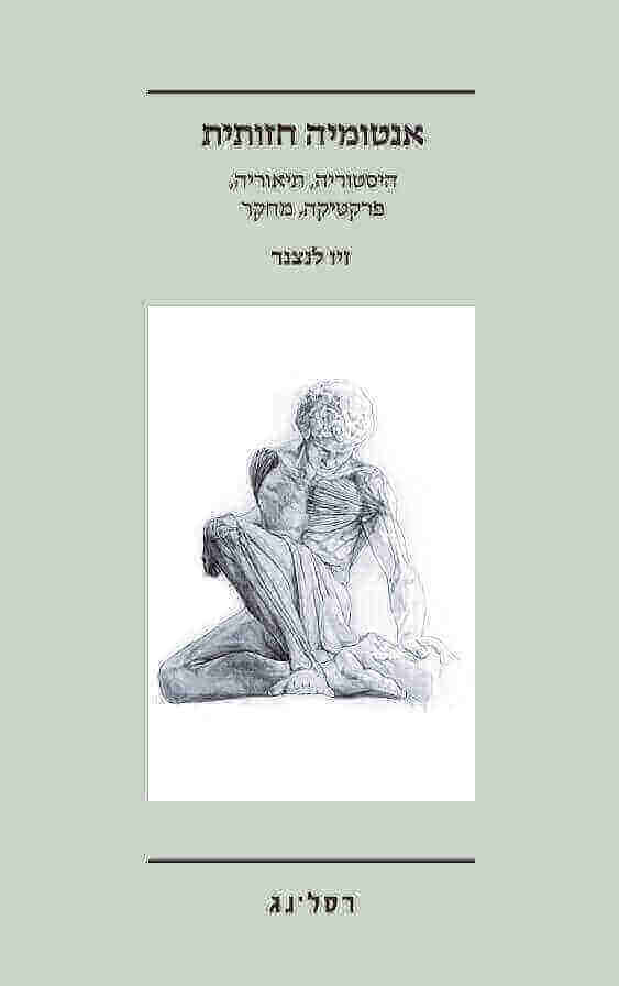 אנטומיה חזותית