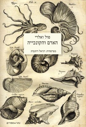 האדם והקונכייה