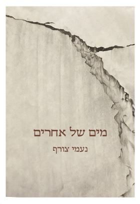 מים של אחרים