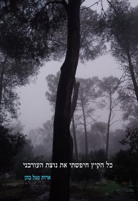 כל הקיץ חיפשתי את נוצת העורבני