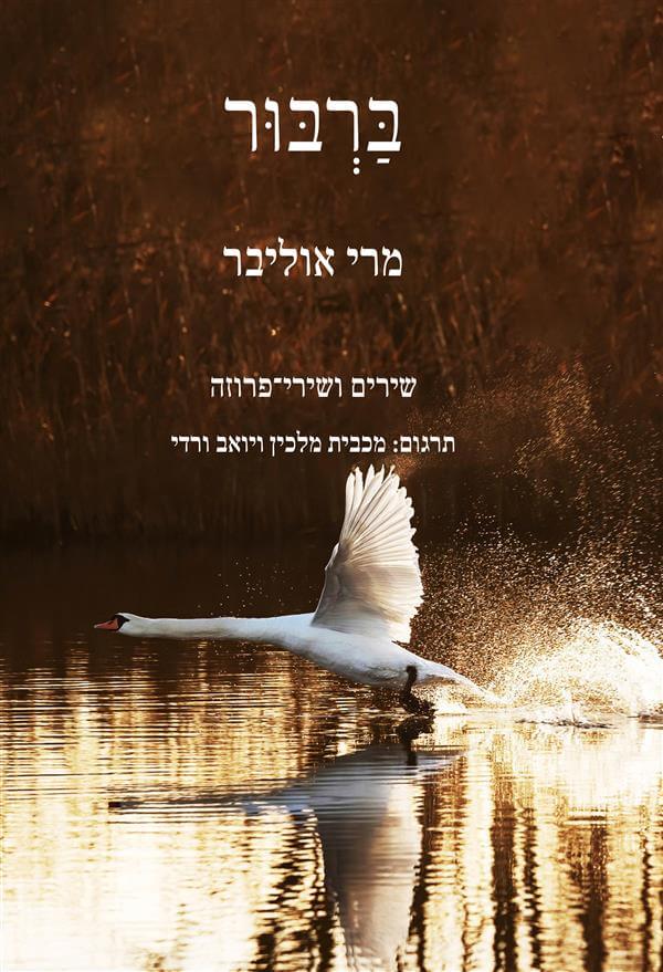 ברבור