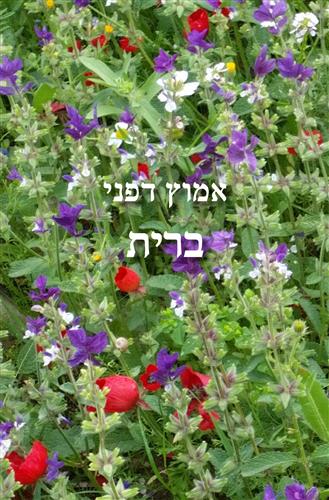 ברית