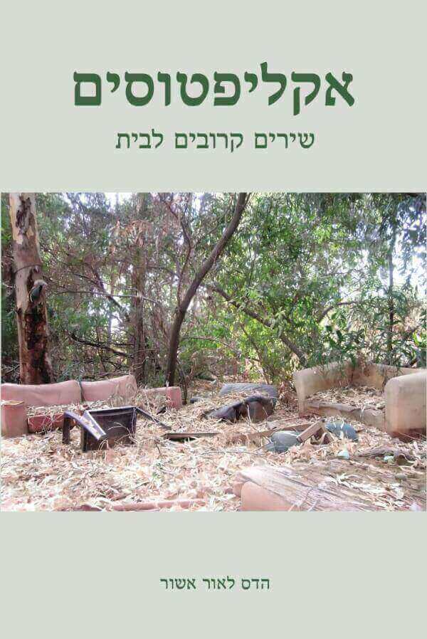 אקליפטוסים