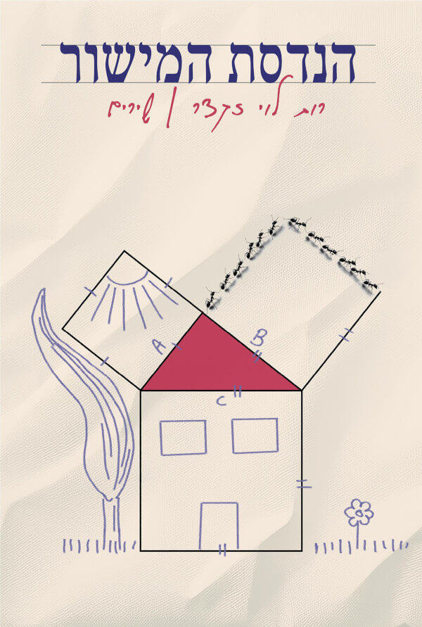 הנדסת המישור