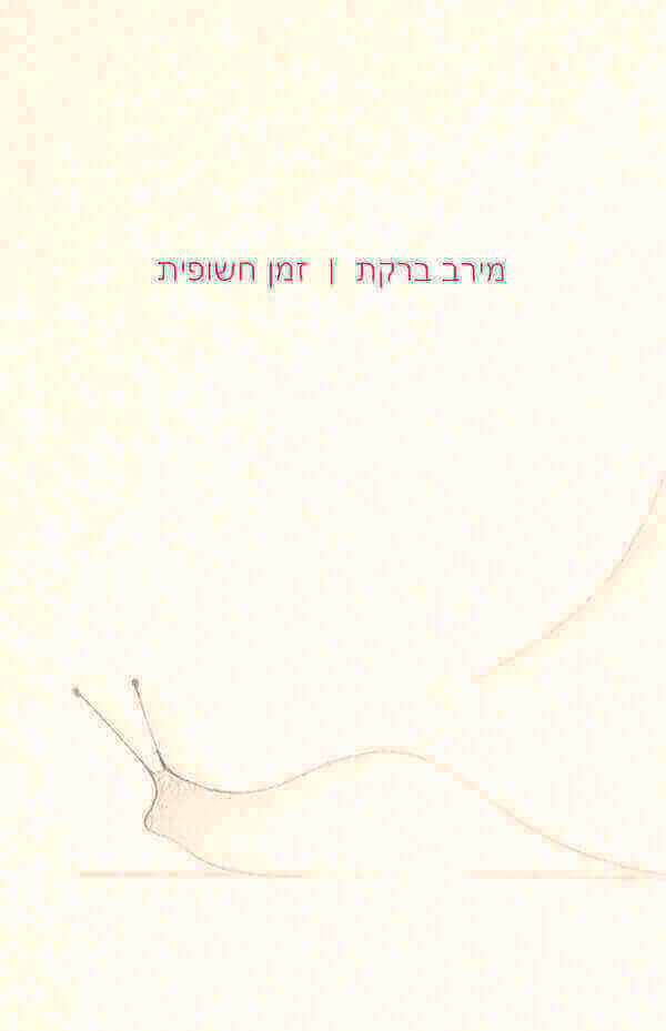זמן חשופית