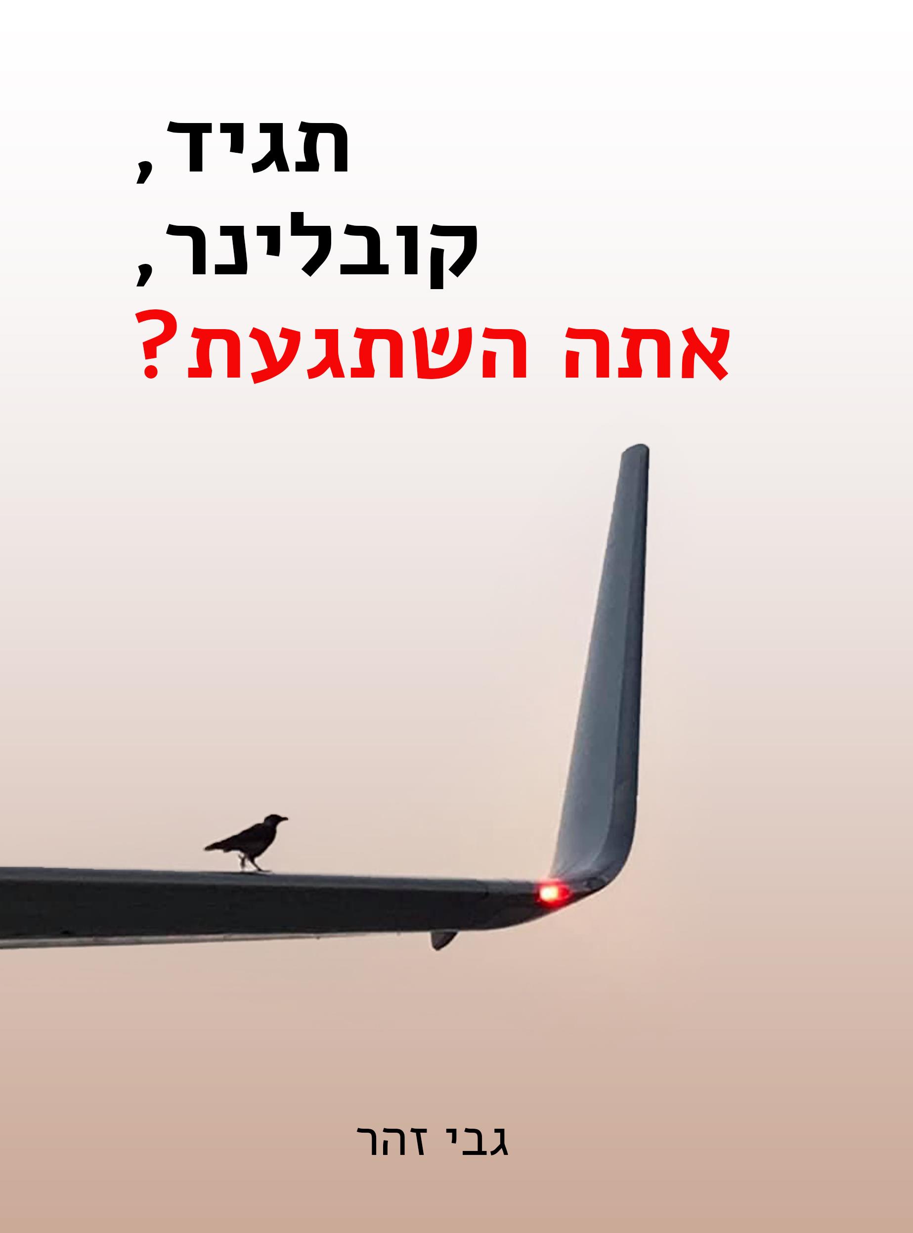 תגיד קובלינר אתה השתגעת