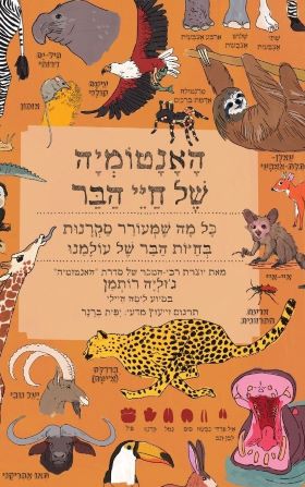 האנטומיה של חיי הבר