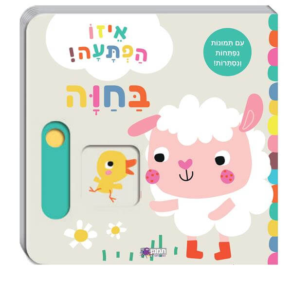 איזו הפתעה! בחוה - עם תמונות נפתחות ונסתרות
