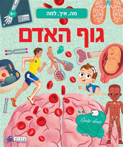 מה, איך , למה - גוף האדם