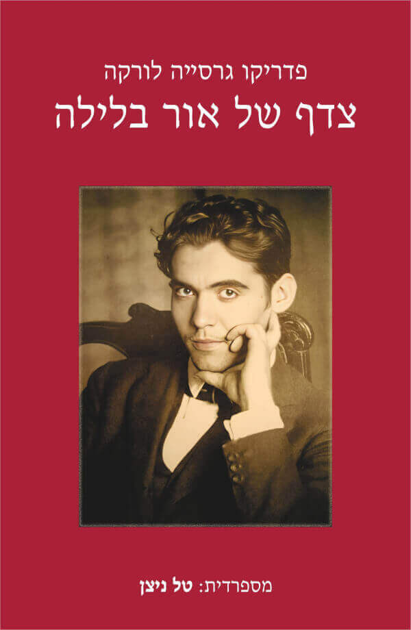 צדף של אור בלילה