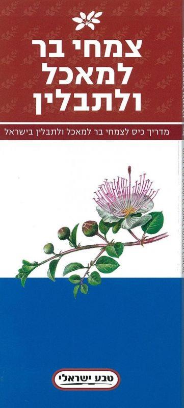 מדריך כיס לצמחי בר למאכל ולתבלין