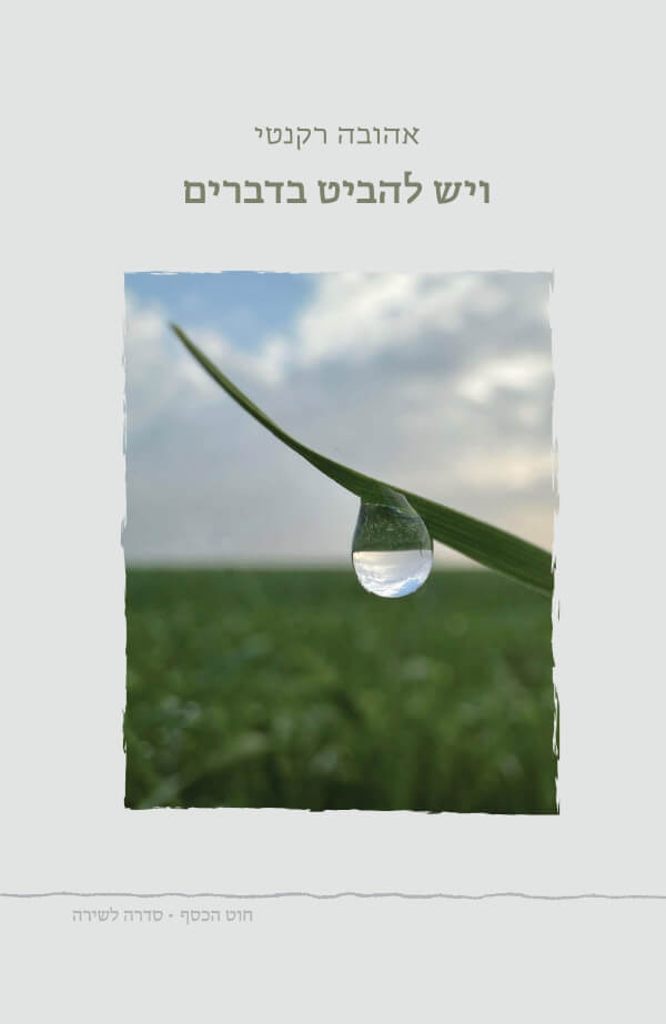 ויש להביט בדברים