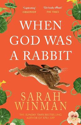 WHEN GOD WAS A RABBIT UK