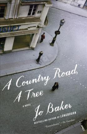 A COUNTRY ROAD, A TREE
