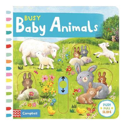 BABY ANIMALS