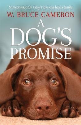 A DOG'S PROMISE W BRUCE CAMERON