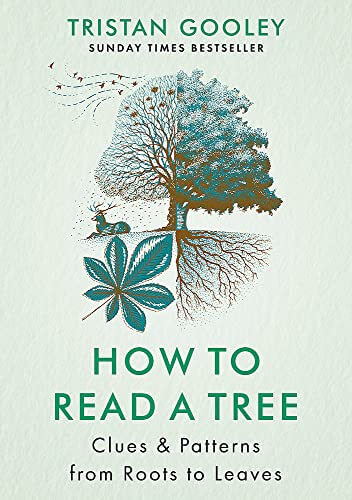 HOW TO READ A TREE - CLUES & PATTERNS FROM ROOTS T
