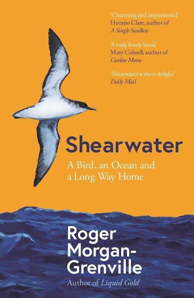 SHEARWATER