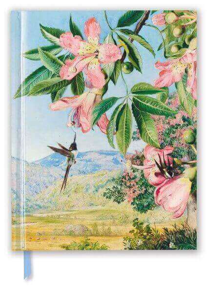 FOLIAGE AND FLOWERS- SKETCH BOOK