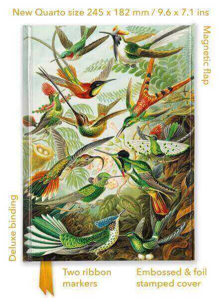 HUMMINGBIRDS - FOILED QUARTO JOURNAL
