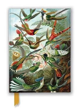 LUXURY JOURNAL HUMMINGBIRDS
