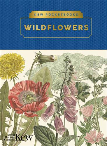 KEW POCKETBOOKS WILDFLOWERS