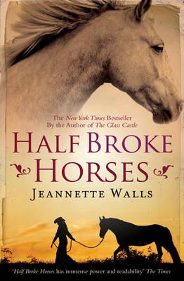 HALF BROKE HORSES UK
