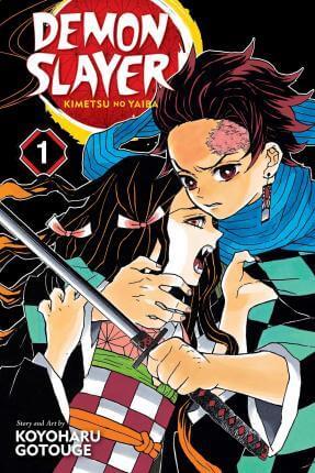 DEMON SLAYER KIMETSU NO YAIBA VOL 1