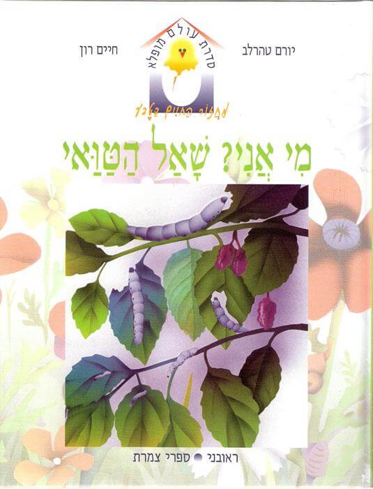 מי אני? שאל הטואי