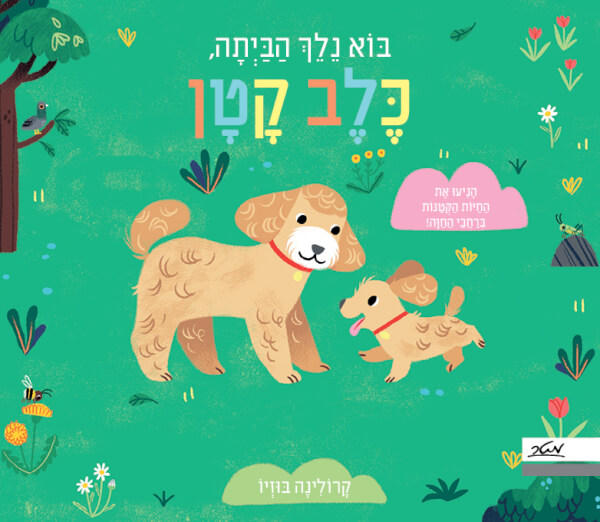 בוא נלך הביתה כלב קטן