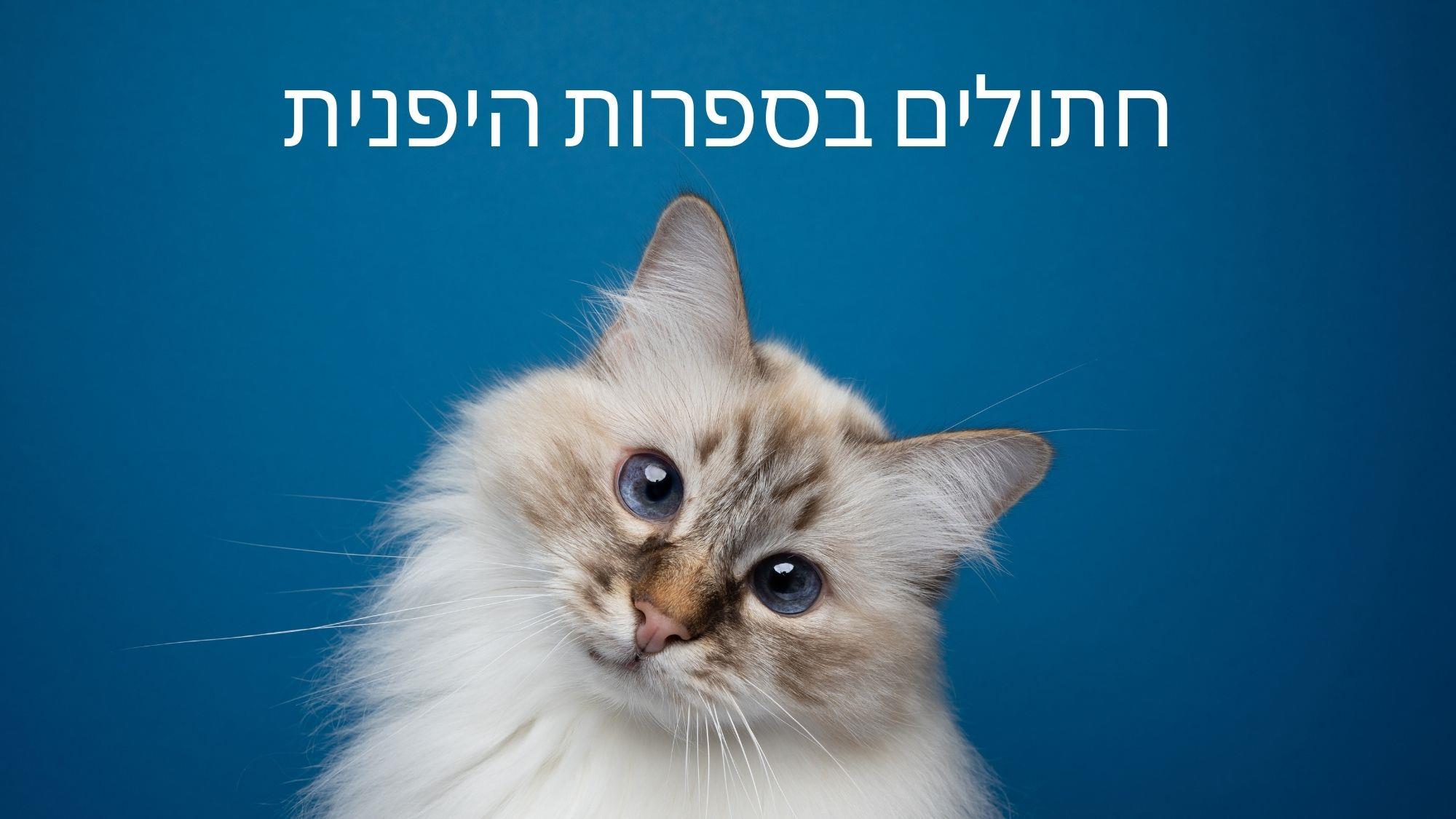 כל מה שרצית לדעת על חתולים בספרות היפנית