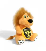 אריה פרווה מזמר 25 סמ ביתר ירושלים